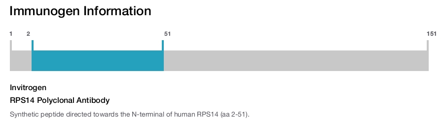 RPS14 Polyclonal Antibody