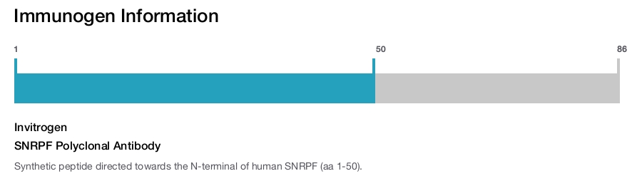 SNRPF Polyclonal Antibody