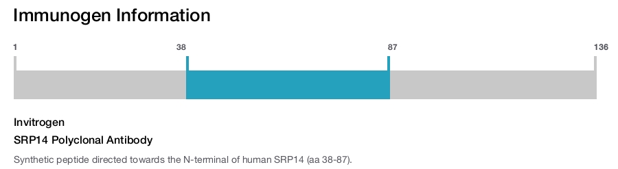 SRP14 Polyclonal Antibody