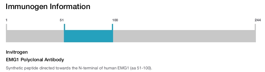 EMG1 Polyclonal Antibody