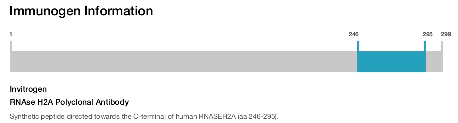 RNAse H2A Polyclonal Antibody