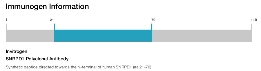 SNRPD1 Polyclonal Antibody