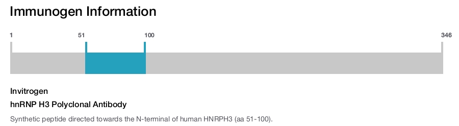 hnRNP H3 Polyclonal Antibody