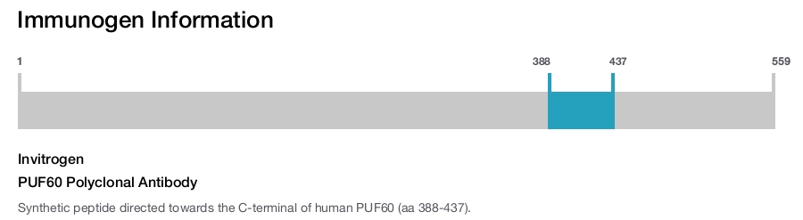 PUF60 Polyclonal Antibody