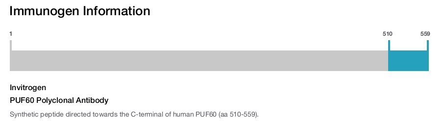 PUF60 Polyclonal Antibody