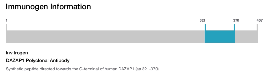 DAZAP1 Polyclonal Antibody