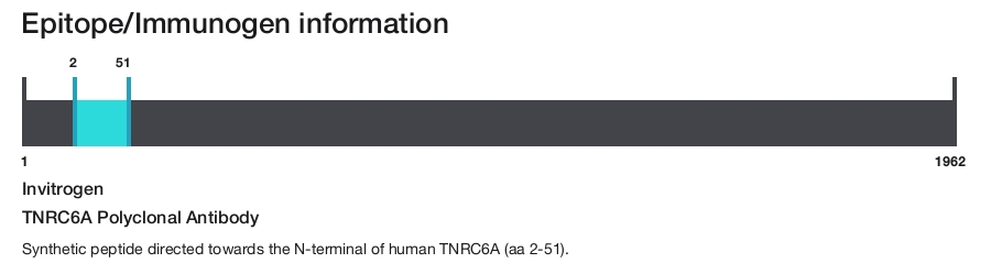 TNRC6A Polyclonal Antibody