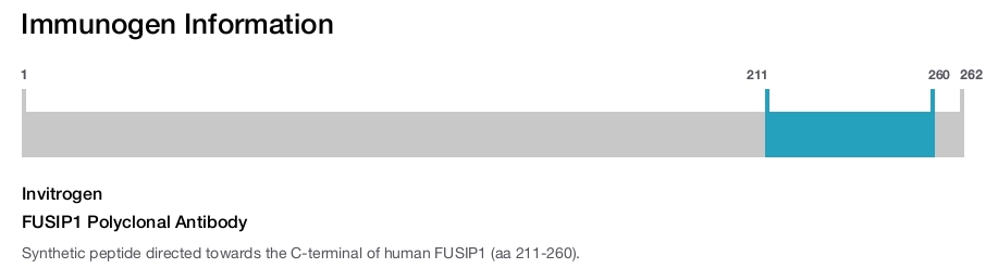FUSIP1 Polyclonal Antibody