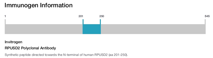 RPUSD2 Polyclonal Antibody