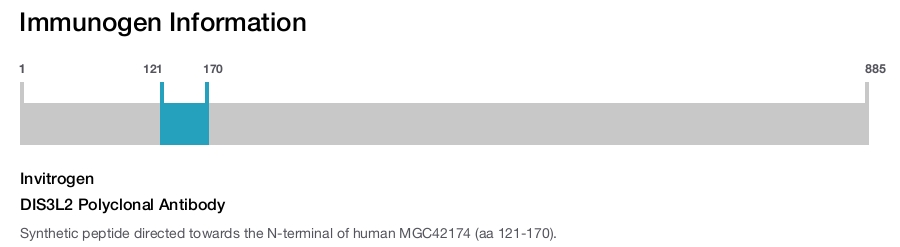 DIS3L2 Polyclonal Antibody