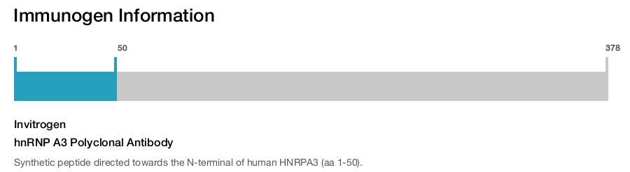 hnRNP A3 Polyclonal Antibody