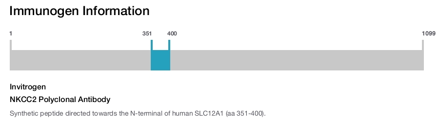 NKCC2 Polyclonal Antibody