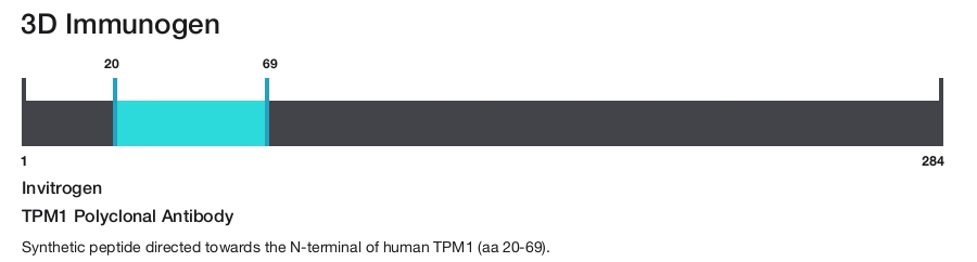 TPM1 Polyclonal Antibody