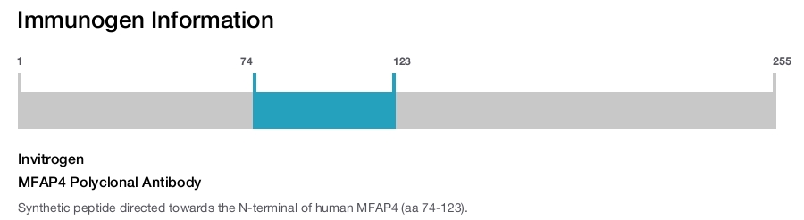 MFAP4 Polyclonal Antibody