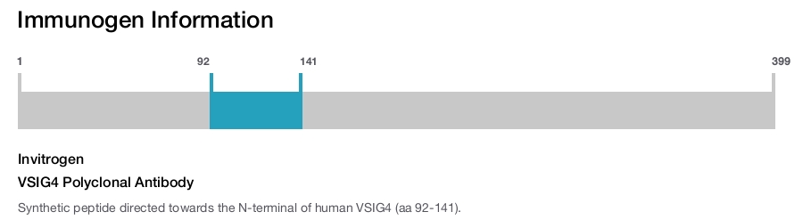 VSIG4 Polyclonal Antibody