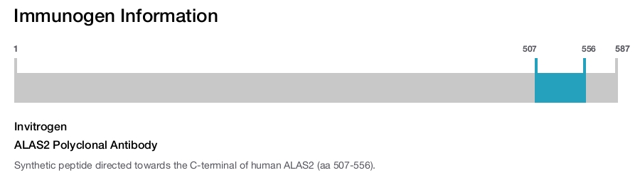 ALAS2 Polyclonal Antibody