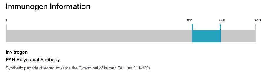FAH Polyclonal Antibody