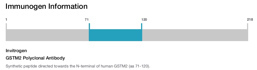 GSTM2 Polyclonal Antibody
