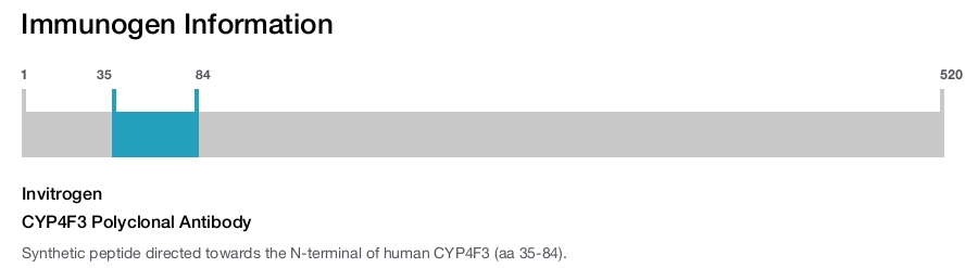CYP4F3 Polyclonal Antibody