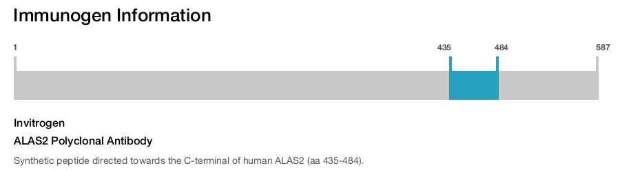 ALAS2 Polyclonal Antibody