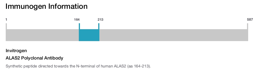ALAS2 Polyclonal Antibody