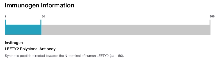 LEFTY2 Polyclonal Antibody
