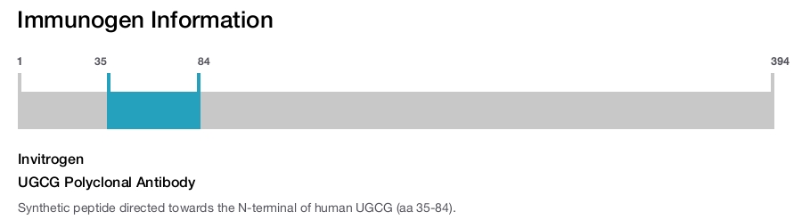 UGCG Polyclonal Antibody