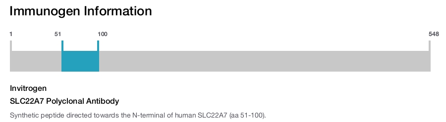SLC22A7 Polyclonal Antibody