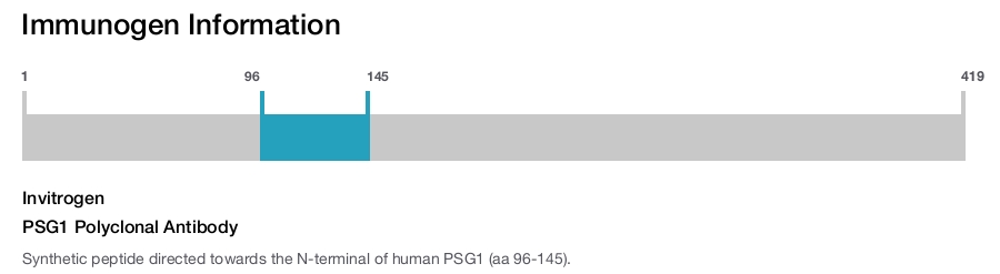 PSG1 Polyclonal Antibody