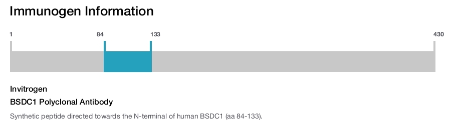 BSDC1 Polyclonal Antibody