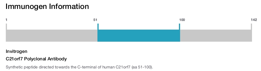 C21orf7 Polyclonal Antibody