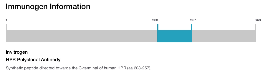 HPR Polyclonal Antibody