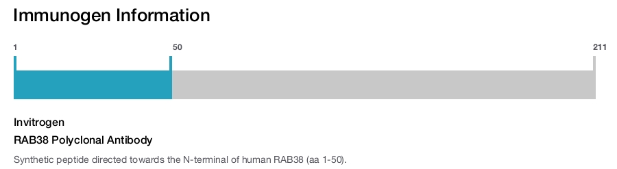 RAB38 Polyclonal Antibody