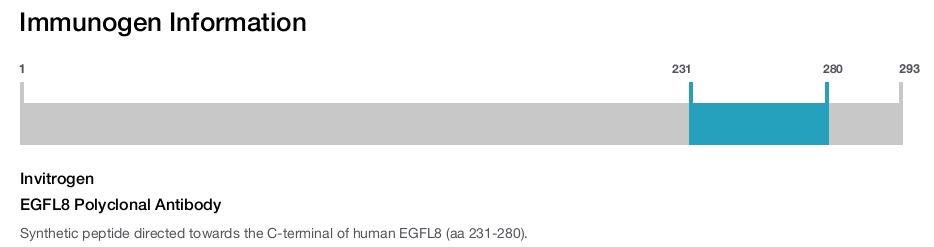 EGFL8 Polyclonal Antibody