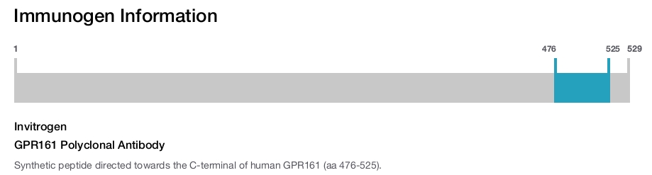 GPR161 Polyclonal Antibody