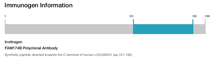 FAM174B Polyclonal Antibody