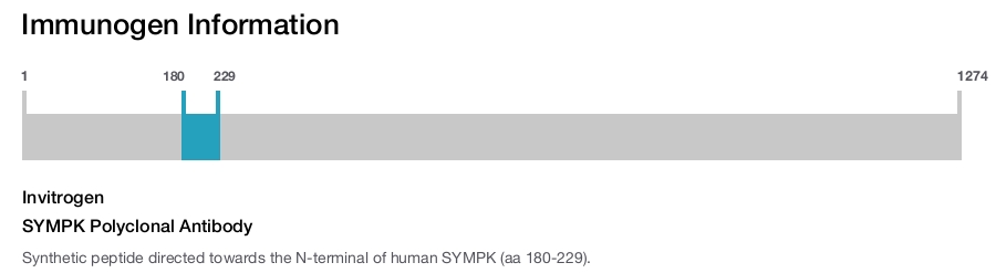 SYMPK Polyclonal Antibody