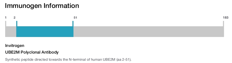 UBE2M Polyclonal Antibody