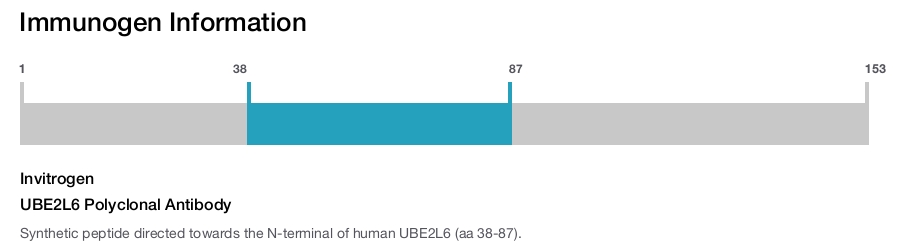 UBE2L6 Polyclonal Antibody