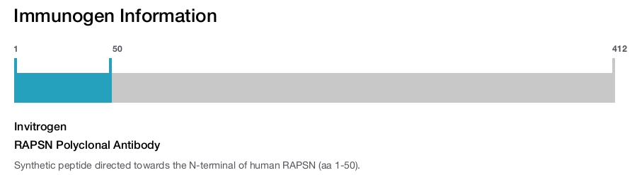 RAPSN Polyclonal Antibody