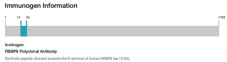 RBBP6 Polyclonal Antibody