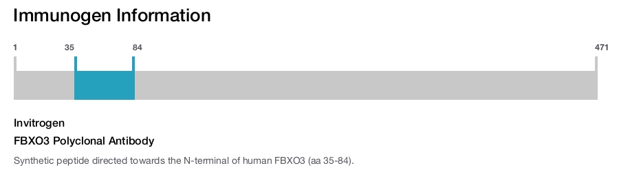 FBXO3 Polyclonal Antibody