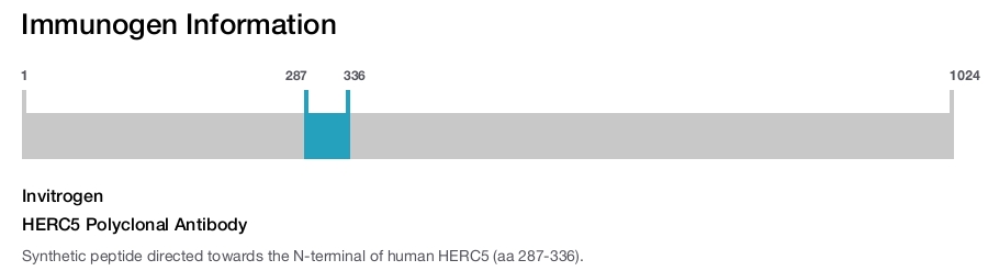 HERC5 Polyclonal Antibody