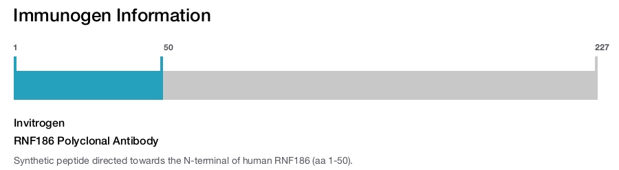 RNF186 Polyclonal Antibody