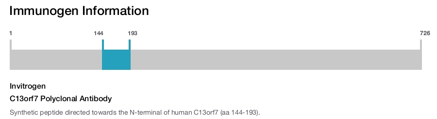 C13orf7 Polyclonal Antibody