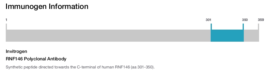 RNF146 Polyclonal Antibody