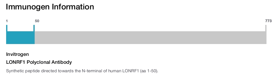 LONRF1 Polyclonal Antibody