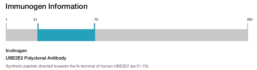 UBE2E2 Polyclonal Antibody