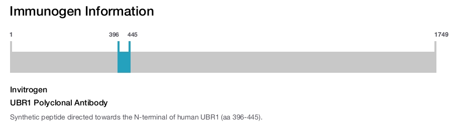 UBR1 Polyclonal Antibody