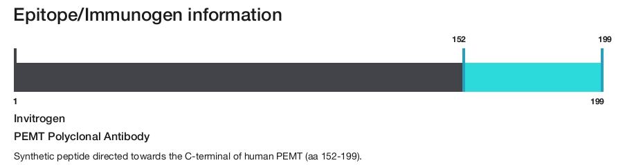 PEMT Polyclonal Antibody